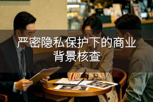 严密隐私保护下的商业背景核查