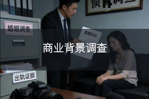 商业背景调查
