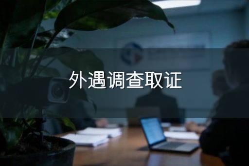 外遇调查取证