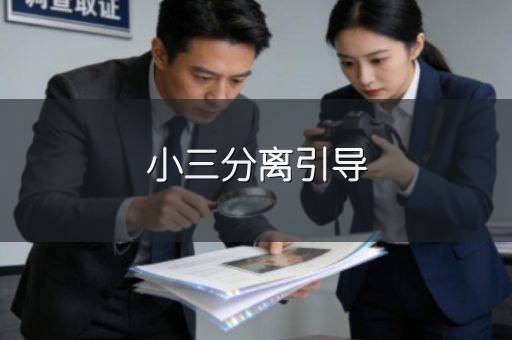 小三分离引导